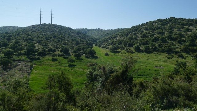 שמורת טבע חדשה